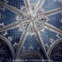 crowfeather42 avatar