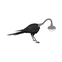 crowlamp avatar