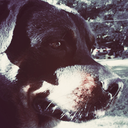 crowley-has-my-soul avatar