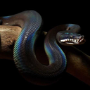 crowley-is-my-patron-saint avatar