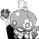 crown-magnolia avatar