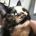 crown-my-darling avatar