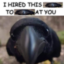 crownowlgremlins avatar