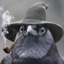 crows-before-bros avatar