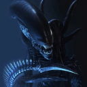 crows-in-my-bones avatar