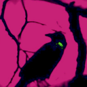 crows-inc avatar