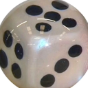 crowsandcorvids avatar