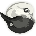 crowxdove avatar