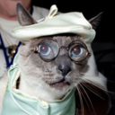 crsenex-blog-blog avatar