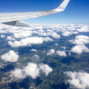 cruccio-dat-hoe avatar