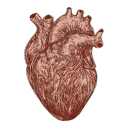 crucifixistis avatar