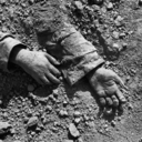 crudohormigon avatar