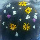 cruel-insanity avatar