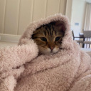 crueliability avatar