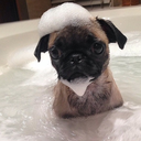 cruelstranger avatar