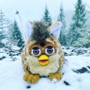 crumblethefurby avatar