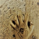 crumbling-clicks avatar