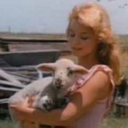 crunchy-creampuff-blog avatar