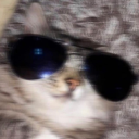 crunchy-princeles avatar