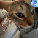 crunchybongwater avatar