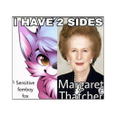 crunchyplatypus avatar