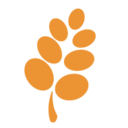 crunchypumpkins avatar