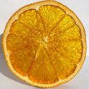 crushed-oranged-angered avatar