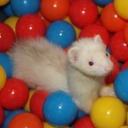 crusheduphuman avatar