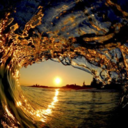 crushinganddreaming avatar