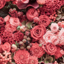 crushinonastar avatar