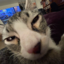 crustaceanstationn avatar