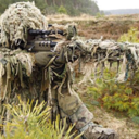 crusty-veteran avatar