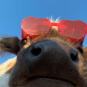 crustybustation avatar