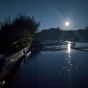 crustyflibbles avatar