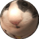 crustymajesty69 avatar