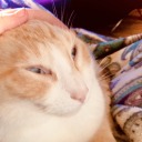 crybabypuppy07 avatar