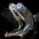 cryingatalltimes avatar