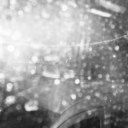 cryingchrysanthemum-blog avatar