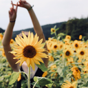 cryingmarsupial avatar