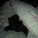 cryingpotato12 avatar