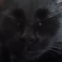 cryingrqinbow avatar