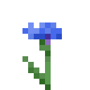 cryingtulips avatar