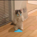 crymylittebabe avatar