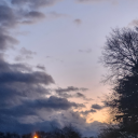 cryptic-arch3r avatar