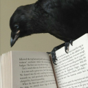 cryptic-corvids-blog avatar