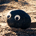 cryptic-disaster avatar