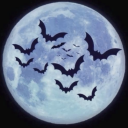 cryptic-loser avatar