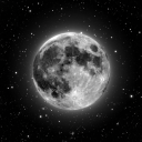 crypticcoterie avatar