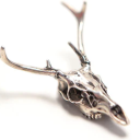 crypticcryptid avatar