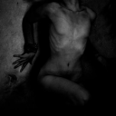 crypticgraves avatar